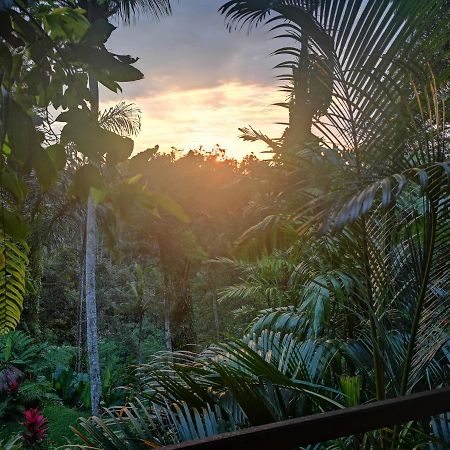 Villa Rimba Ubud เตกากาลัง ภายนอก รูปภาพ