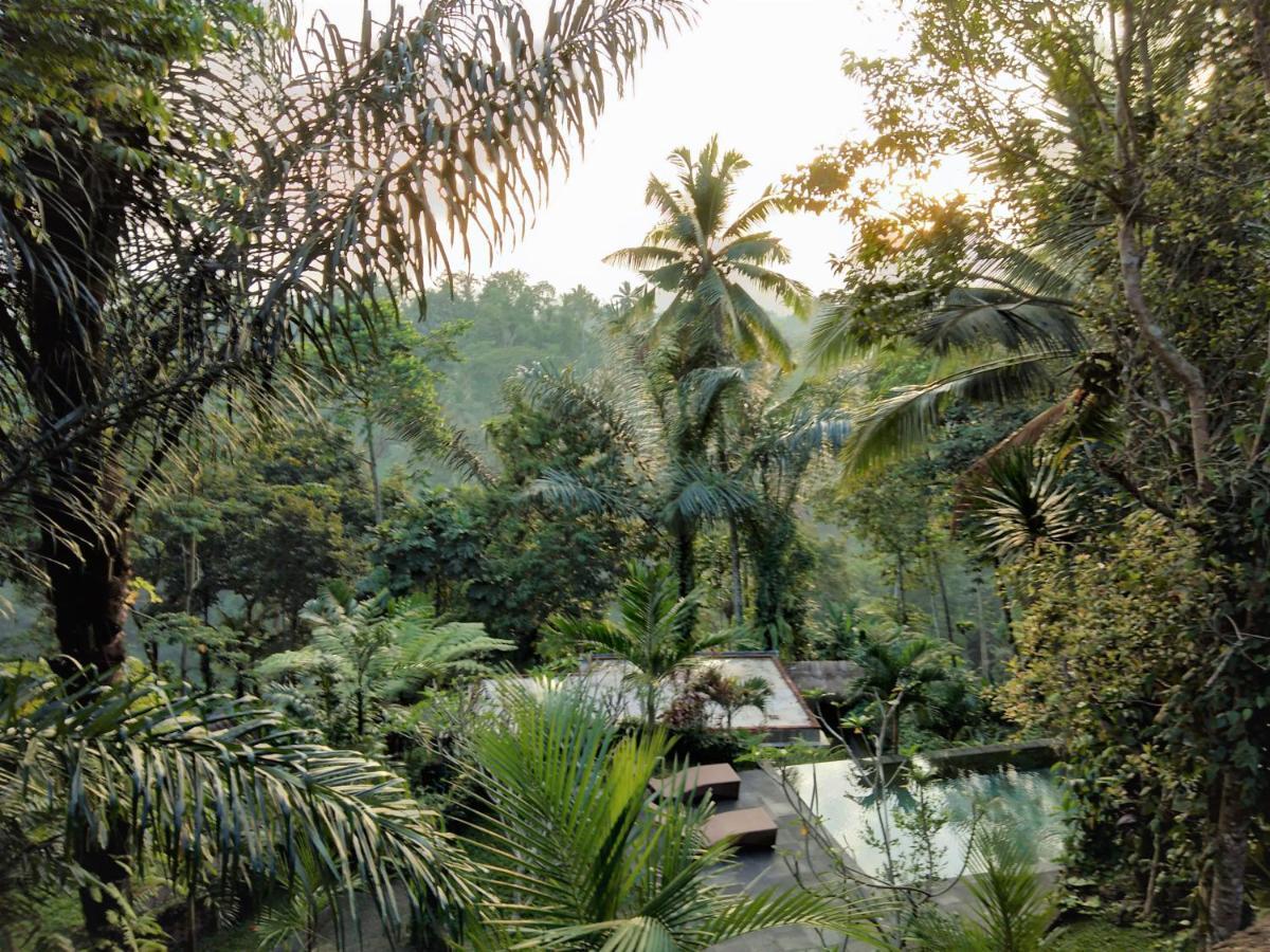 Villa Rimba Ubud เตกากาลัง ภายนอก รูปภาพ