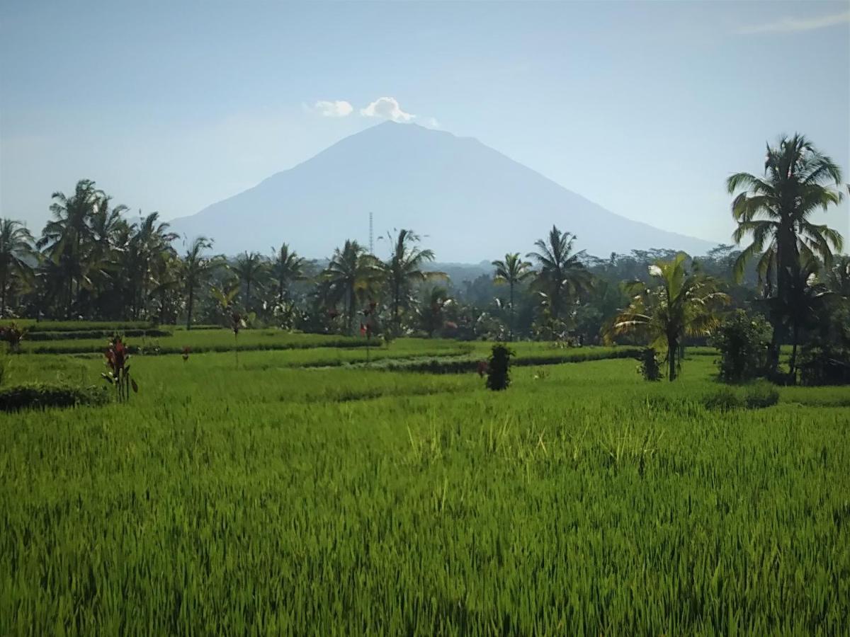 Villa Rimba Ubud เตกากาลัง ภายนอก รูปภาพ