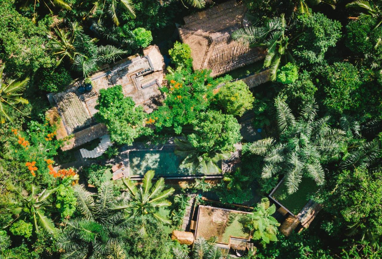 Villa Rimba Ubud เตกากาลัง ภายนอก รูปภาพ