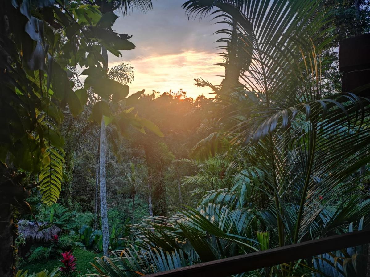 Villa Rimba Ubud เตกากาลัง ภายนอก รูปภาพ