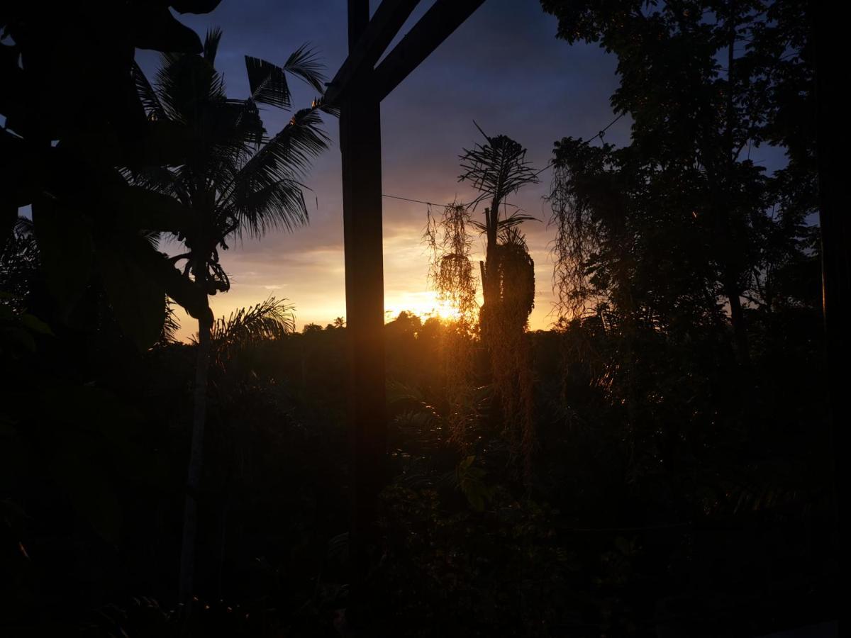 Villa Rimba Ubud เตกากาลัง ภายนอก รูปภาพ