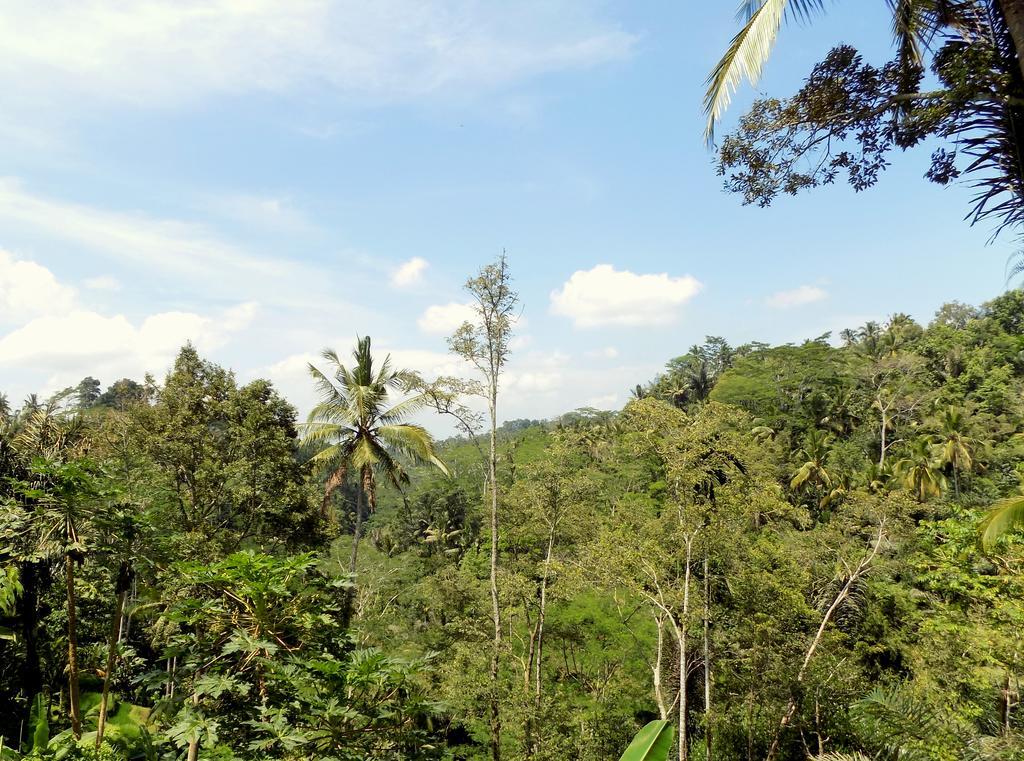 Villa Rimba Ubud เตกากาลัง ภายนอก รูปภาพ