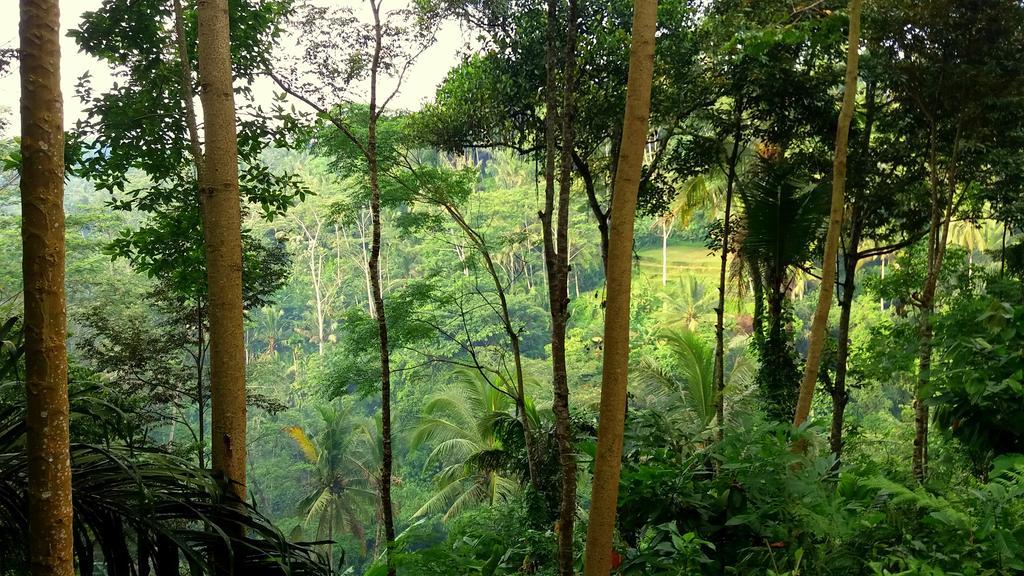 Villa Rimba Ubud เตกากาลัง ภายนอก รูปภาพ